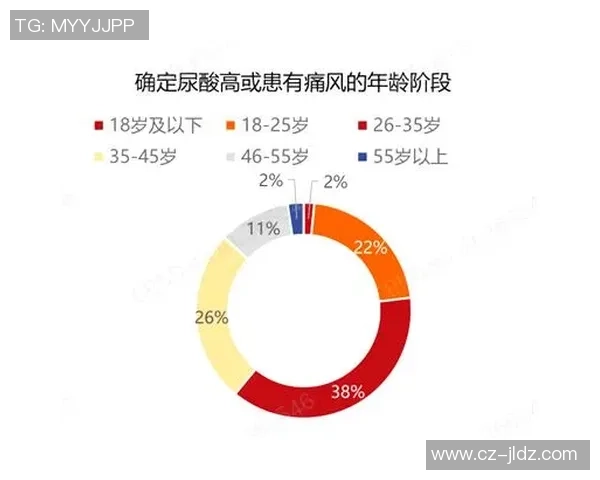 北京网球队运营分析：成功经验与面临挑战的全面探讨